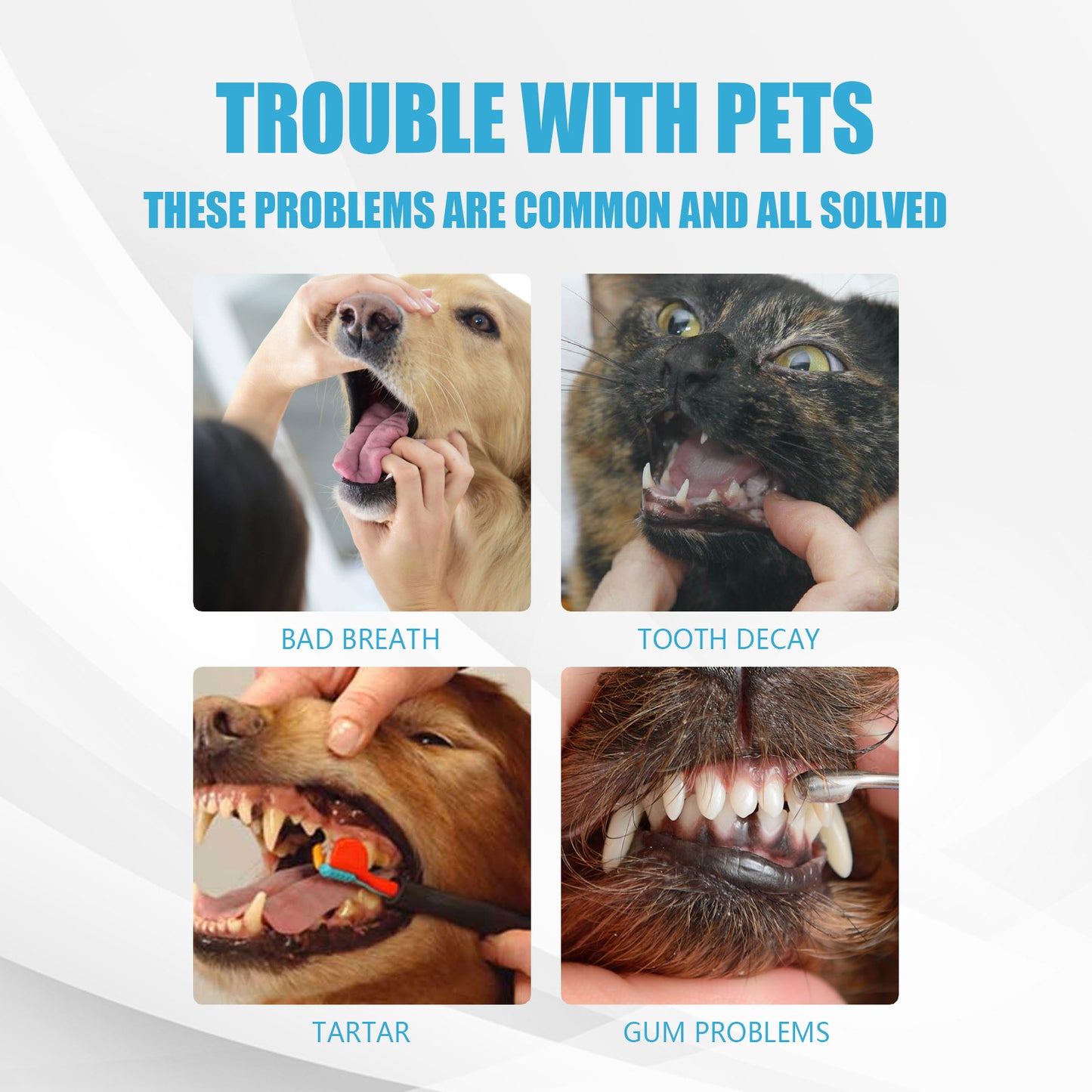 Fresh Breath Pet Toothpaste Dog